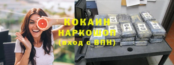 гидра Алексеевка