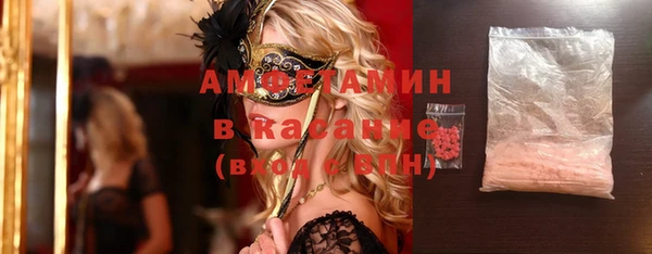 индика Алексин