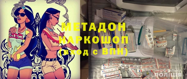 индика Алексин