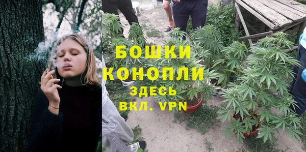 гидра Алексеевка