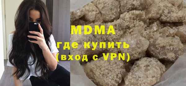 индика Алексин