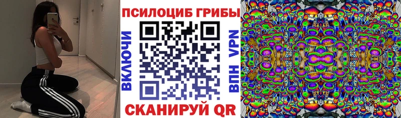 Галлюциногенные грибы мухоморы Бронницы
